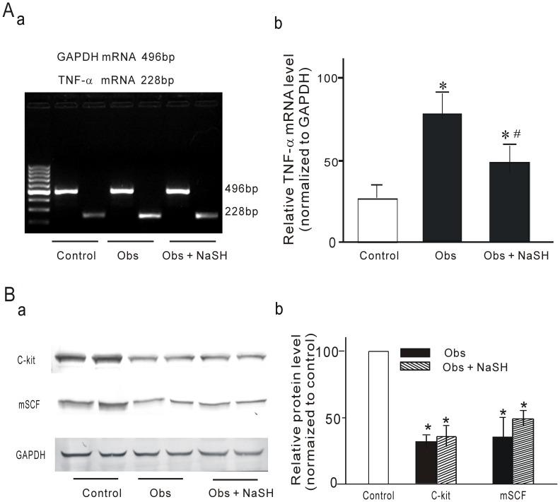https://cdn.ncbi.nlm.nih.gov/pmc/blobs/5bc5/3486862/9b738d6bbf1d/pone.0048249.g008.jpg