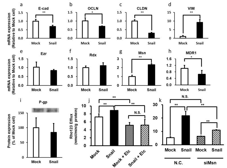 https://cdn.ncbi.nlm.nih.gov/pmc/blobs/5bc7/7696277/87c4881905f2/cancers-12-03352-g001.jpg