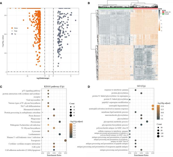 https://cdn.ncbi.nlm.nih.gov/pmc/blobs/5bc7/8417739/042e79d5a9ba/fonc-11-711756-g001.jpg