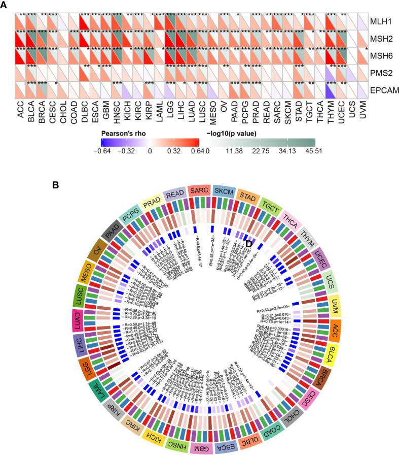 https://cdn.ncbi.nlm.nih.gov/pmc/blobs/5bc7/8417739/2aa9906c52ae/fonc-11-711756-g007.jpg