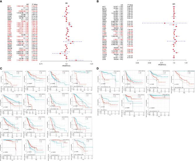https://cdn.ncbi.nlm.nih.gov/pmc/blobs/5bc7/8417739/2f1bc702f2f9/fonc-11-711756-g004.jpg