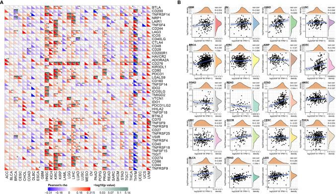https://cdn.ncbi.nlm.nih.gov/pmc/blobs/5bc7/8417739/455526b532b2/fonc-11-711756-g006.jpg