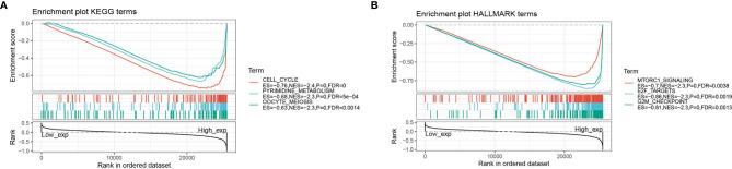 https://cdn.ncbi.nlm.nih.gov/pmc/blobs/5bc7/8417739/e6efaea167f7/fonc-11-711756-g008.jpg