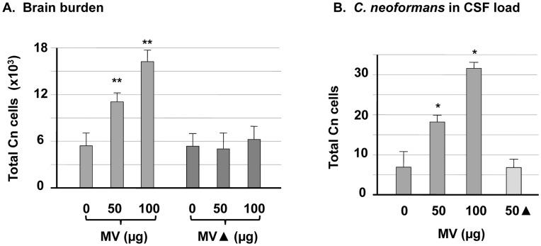 https://cdn.ncbi.nlm.nih.gov/pmc/blobs/5bcb/3492498/2da8ea22f97c/pone.0048570.g006.jpg