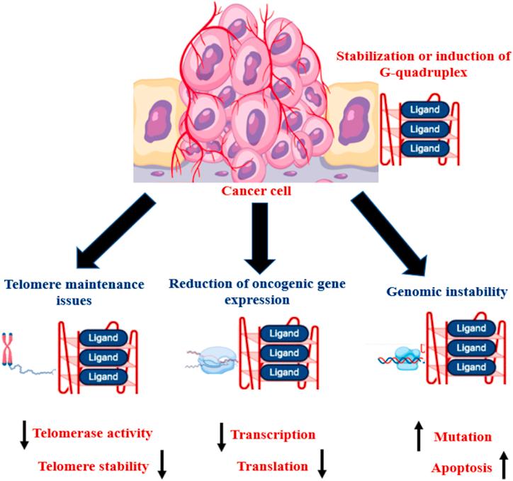 https://cdn.ncbi.nlm.nih.gov/pmc/blobs/5bcc/9984854/3e020b4554fe/gr2.jpg