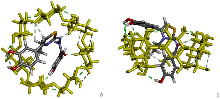 https://cdn.ncbi.nlm.nih.gov/pmc/blobs/5bcd/12029814/bde4e5746394/molecules-30-01842-g011.jpg