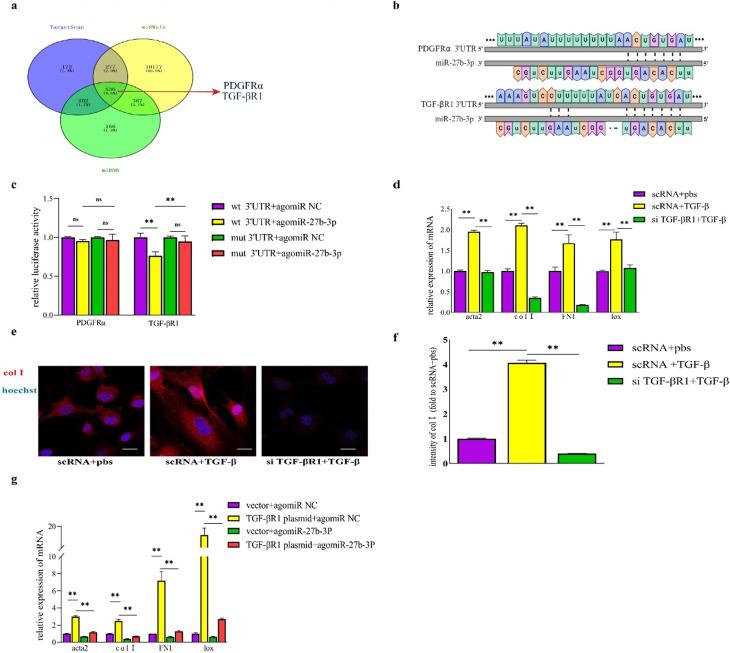 https://cdn.ncbi.nlm.nih.gov/pmc/blobs/5bce/11145862/4d5062916df6/13018_2024_4733_Fig4_HTML.jpg