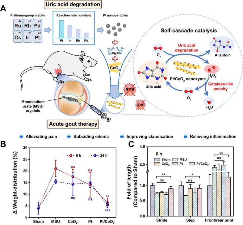 https://cdn.ncbi.nlm.nih.gov/pmc/blobs/5bcf/11406882/4b91e9b81638/12951_2024_2844_Fig6_HTML.jpg