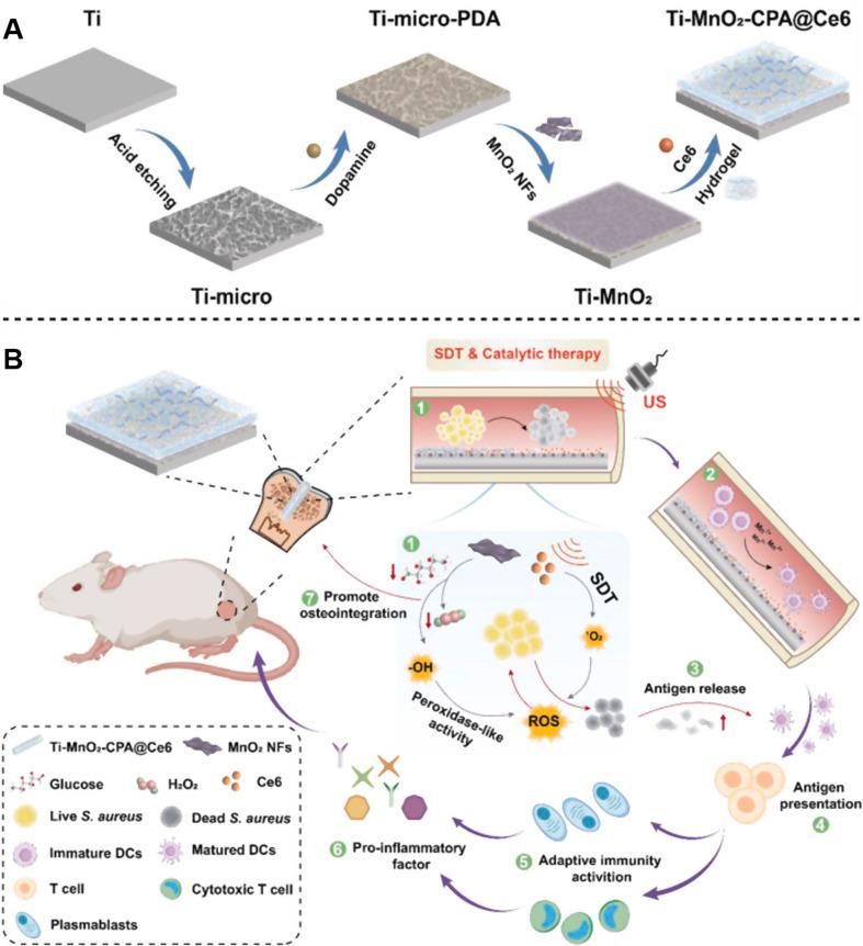 https://cdn.ncbi.nlm.nih.gov/pmc/blobs/5bcf/11406882/a89176406d13/12951_2024_2844_Fig9_HTML.jpg