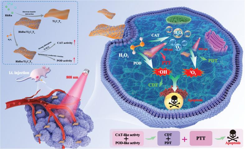https://cdn.ncbi.nlm.nih.gov/pmc/blobs/5bcf/11406882/f125a858431b/12951_2024_2844_Fig8_HTML.jpg