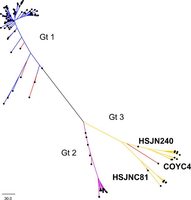 https://cdn.ncbi.nlm.nih.gov/pmc/blobs/5bcf/8423449/2485ac15b932/elife-68612-fig3-figsupp2.jpg