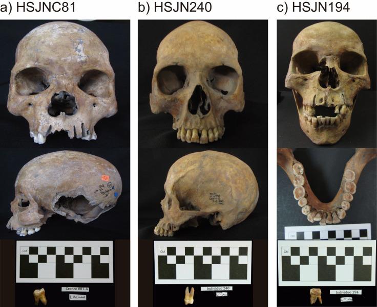 https://cdn.ncbi.nlm.nih.gov/pmc/blobs/5bcf/8423449/9bdd3b4d33c7/elife-68612-fig4-figsupp3.jpg