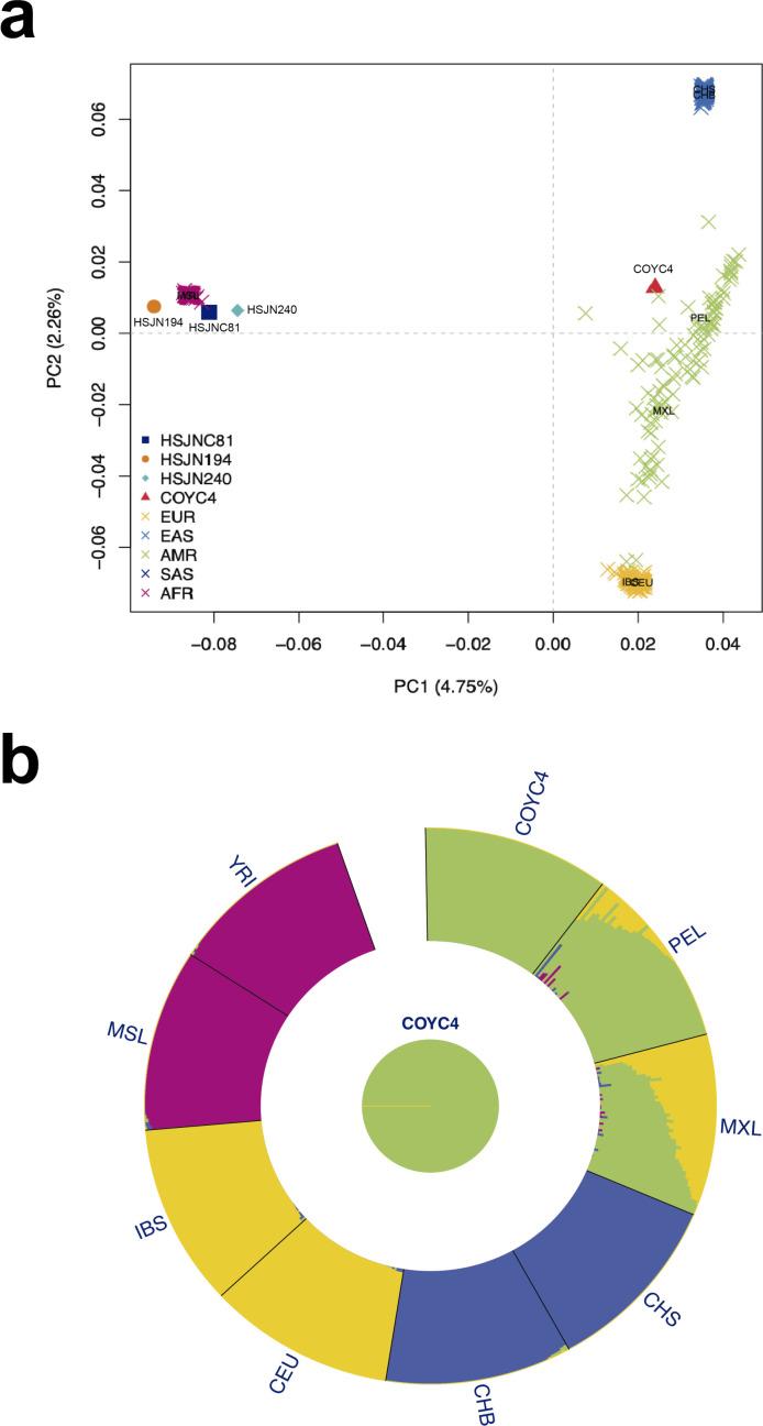 https://cdn.ncbi.nlm.nih.gov/pmc/blobs/5bcf/8423449/bc5155cb7e1f/elife-68612-fig4.jpg