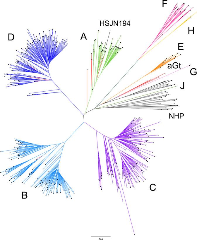 https://cdn.ncbi.nlm.nih.gov/pmc/blobs/5bcf/8423449/de2ec53210d0/elife-68612-fig3-figsupp1.jpg