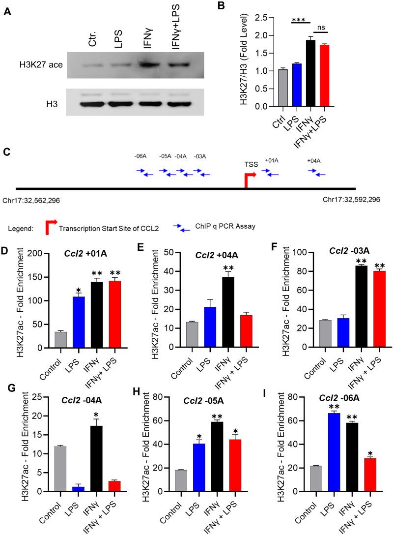 https://cdn.ncbi.nlm.nih.gov/pmc/blobs/5bcf/9343018/0191c1fc3c5b/JIR-15-4291-g0003.jpg