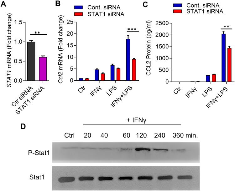 https://cdn.ncbi.nlm.nih.gov/pmc/blobs/5bcf/9343018/4b0e58df1c81/JIR-15-4291-g0002.jpg