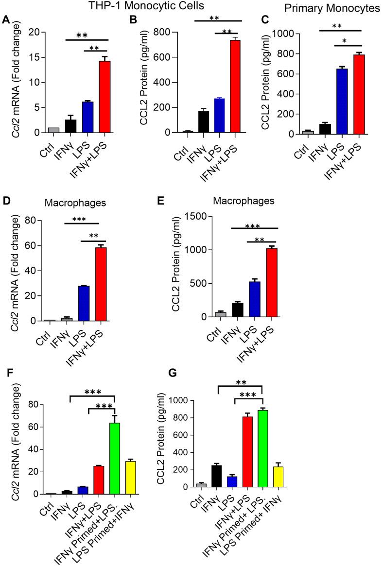 https://cdn.ncbi.nlm.nih.gov/pmc/blobs/5bcf/9343018/eb3158f04665/JIR-15-4291-g0001.jpg