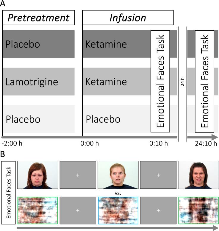 https://cdn.ncbi.nlm.nih.gov/pmc/blobs/5bd0/11479267/151e2ddf8ce4/41398_2024_3120_Fig1_HTML.jpg