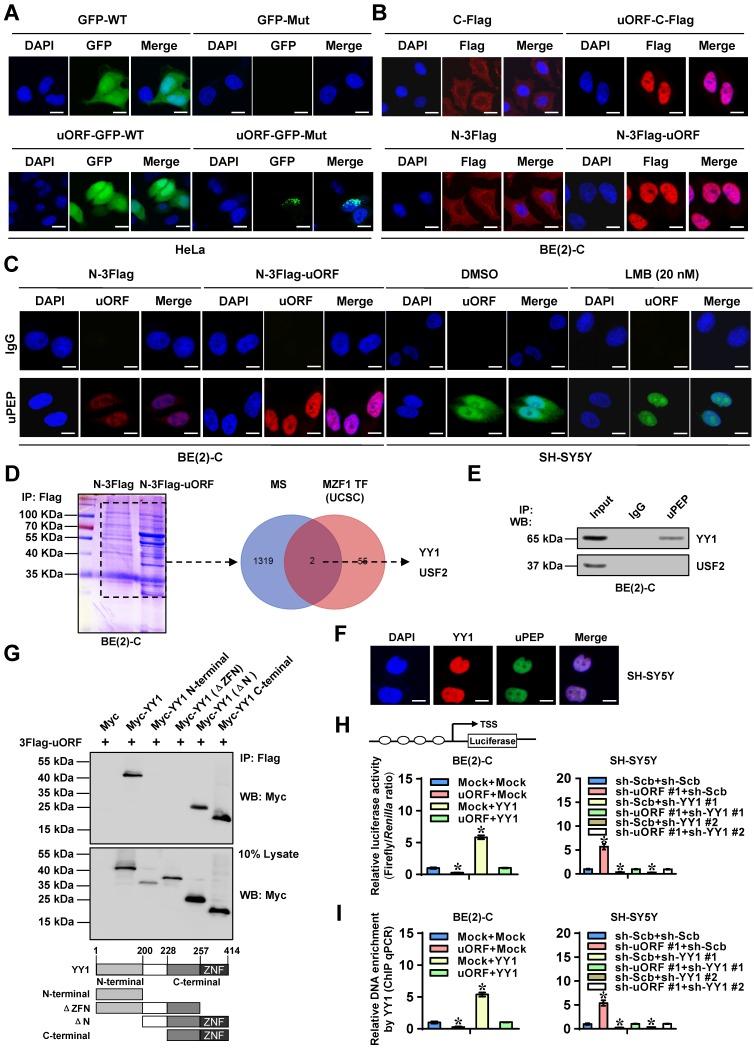 https://cdn.ncbi.nlm.nih.gov/pmc/blobs/5bd3/6993229/3c7da2df55a3/thnov10p1555g004.jpg