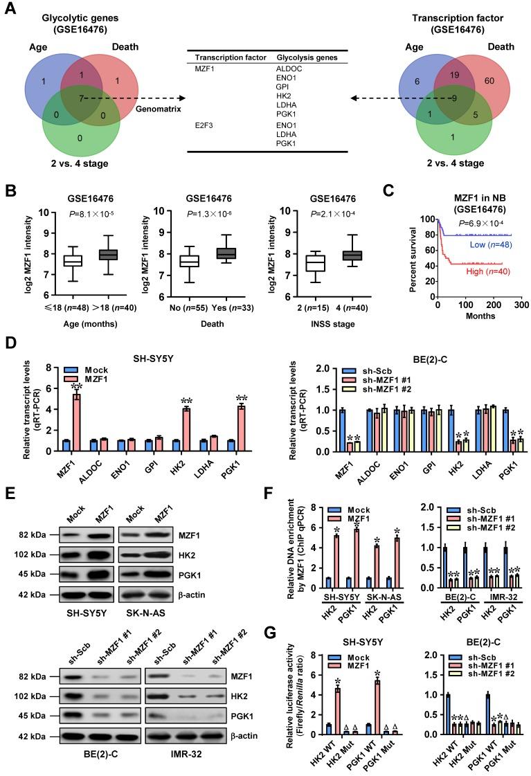 https://cdn.ncbi.nlm.nih.gov/pmc/blobs/5bd3/6993229/da9d131e77fa/thnov10p1555g001.jpg