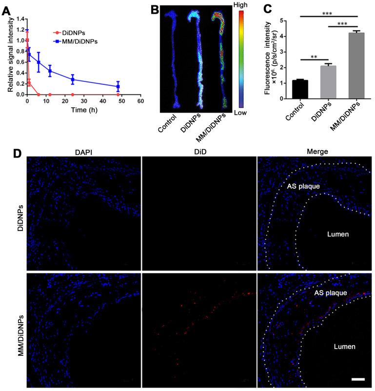 https://cdn.ncbi.nlm.nih.gov/pmc/blobs/5bd3/7681077/0706cae8cd68/thnov11p0164g005.jpg