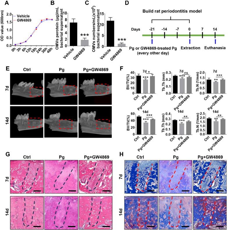 https://cdn.ncbi.nlm.nih.gov/pmc/blobs/5bd4/12084903/5028fbf8d484/12951_2025_3457_Fig2_HTML.jpg