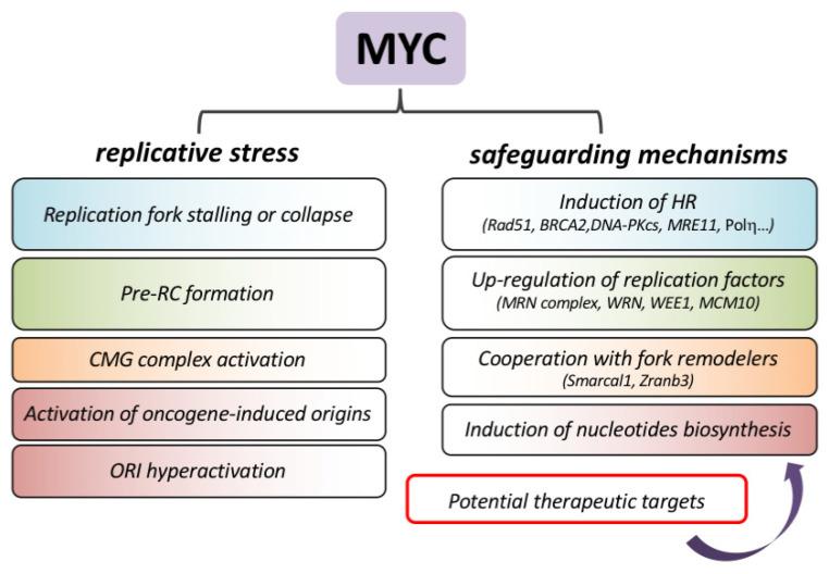 https://cdn.ncbi.nlm.nih.gov/pmc/blobs/5bd4/8227504/6d72f16334ff/ijms-22-06168-g003.jpg