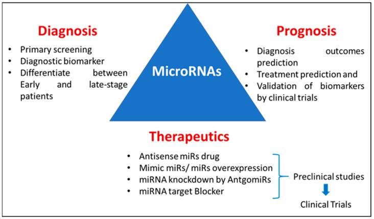 https://cdn.ncbi.nlm.nih.gov/pmc/blobs/5bd5/11431957/23738487a99e/ijms-25-09936-g001.jpg