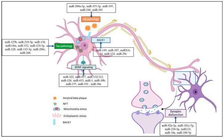 https://cdn.ncbi.nlm.nih.gov/pmc/blobs/5bd5/11431957/37d2271a8771/ijms-25-09936-g003.jpg
