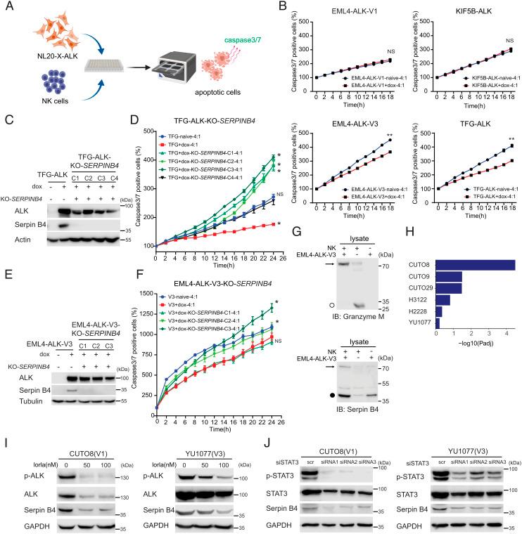 https://cdn.ncbi.nlm.nih.gov/pmc/blobs/5bd6/9974509/54c2baee3227/pnas.2216479120fig07.jpg