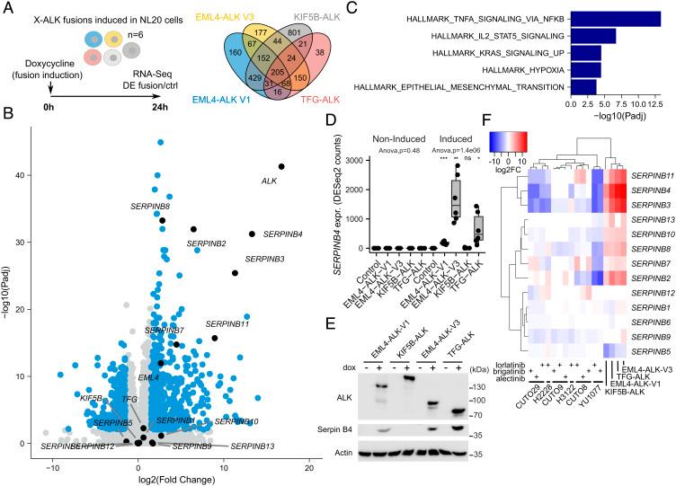 https://cdn.ncbi.nlm.nih.gov/pmc/blobs/5bd6/9974509/c2b7f98aa62c/pnas.2216479120fig02.jpg