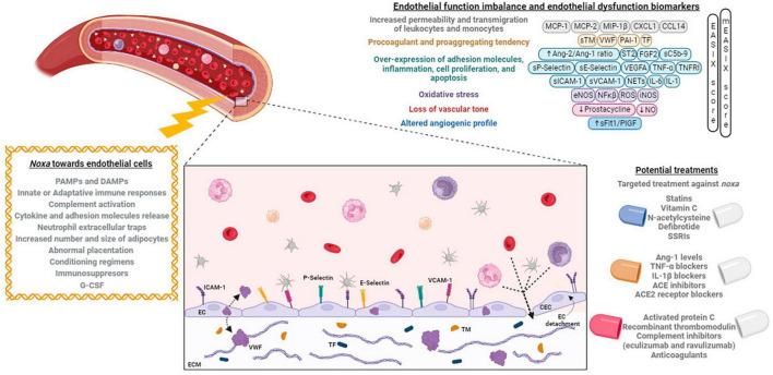 https://cdn.ncbi.nlm.nih.gov/pmc/blobs/5bd8/10682735/e420860b319b/fmed-10-1285898-g001.jpg