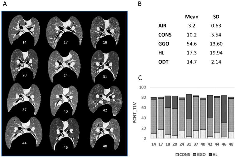 https://cdn.ncbi.nlm.nih.gov/pmc/blobs/5bd8/12115574/2d15377a6303/vetsci-12-00400-g002.jpg