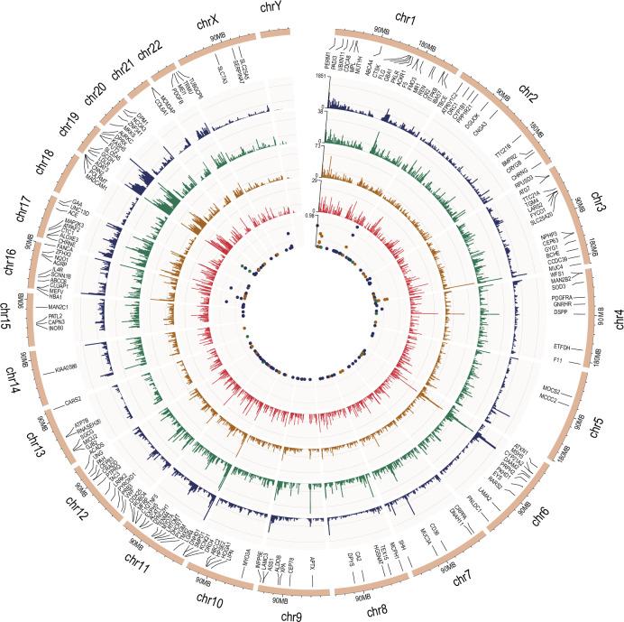 https://cdn.ncbi.nlm.nih.gov/pmc/blobs/5bdc/11982406/bd973c36c9a6/42003_2025_8020_Fig2_HTML.jpg