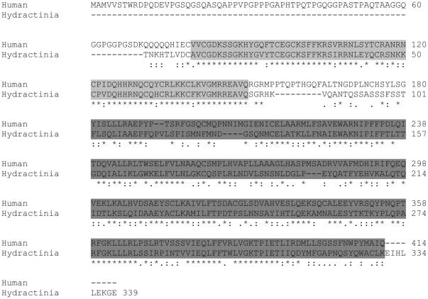 https://cdn.ncbi.nlm.nih.gov/pmc/blobs/5bde/3084292/8fb3f4afd0b0/pone.0019443.g002.jpg
