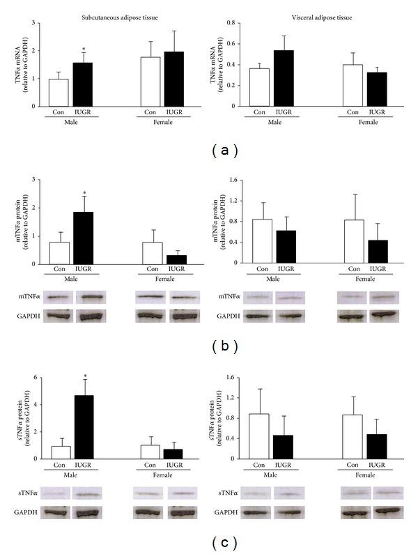 https://cdn.ncbi.nlm.nih.gov/pmc/blobs/5bdf/3997936/edb5a5cbb7ce/JOBE2014-829862.002.jpg