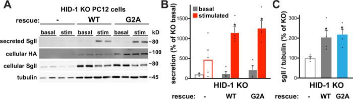 https://cdn.ncbi.nlm.nih.gov/pmc/blobs/5be1/10522040/39b9c58bc0e3/pone.0291977.g002.jpg