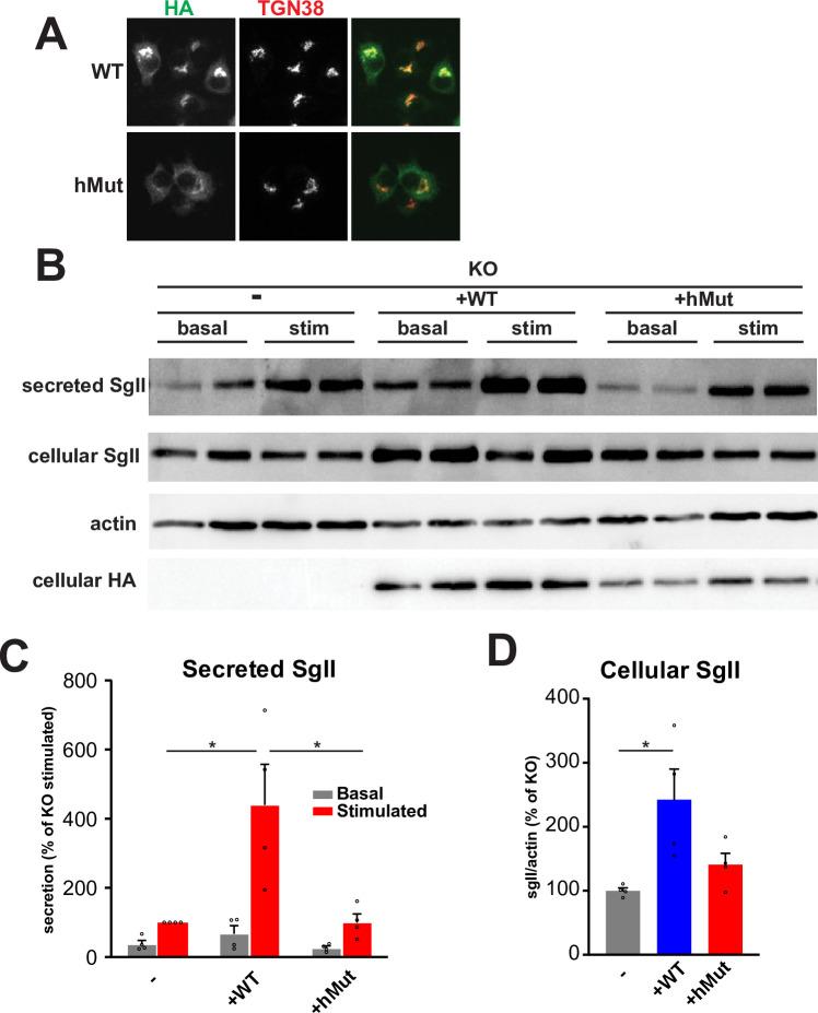 https://cdn.ncbi.nlm.nih.gov/pmc/blobs/5be1/10522040/914c97baaf02/pone.0291977.g005.jpg