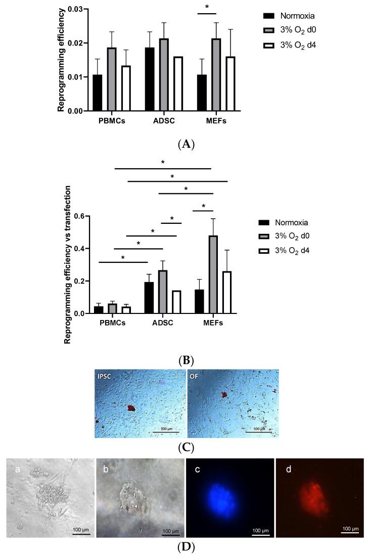 https://cdn.ncbi.nlm.nih.gov/pmc/blobs/5be1/11172288/9341afb16617/cells-13-00971-g002.jpg