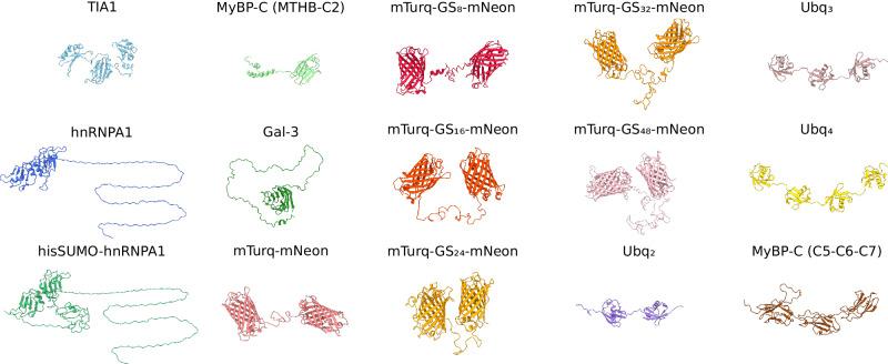 https://cdn.ncbi.nlm.nih.gov/pmc/blobs/5be2/11300910/39b2000560cb/41467_2024_50647_Fig2_HTML.jpg