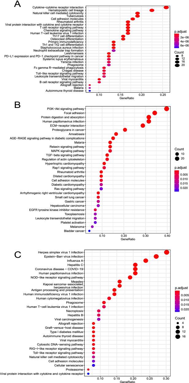 https://cdn.ncbi.nlm.nih.gov/pmc/blobs/5be2/9241267/64592ea2ae00/12885_2022_9722_Fig6_HTML.jpg