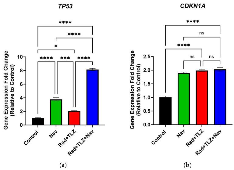 https://cdn.ncbi.nlm.nih.gov/pmc/blobs/5be4/10669784/d82a85b156cf/biomedicines-11-03066-g003a.jpg