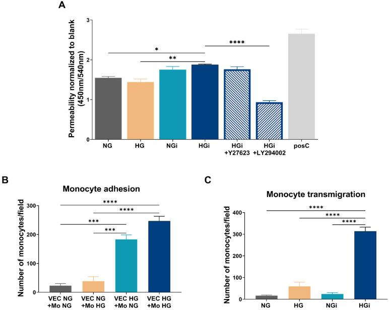 https://cdn.ncbi.nlm.nih.gov/pmc/blobs/5be5/10932031/07a8eff541c4/ijms-25-03048-g006.jpg