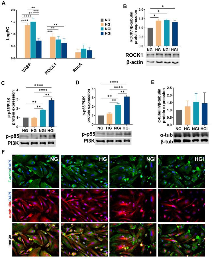 https://cdn.ncbi.nlm.nih.gov/pmc/blobs/5be5/10932031/cf699dbfb972/ijms-25-03048-g002.jpg