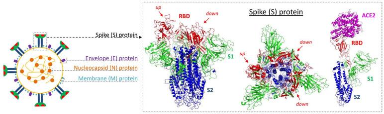 https://cdn.ncbi.nlm.nih.gov/pmc/blobs/5be5/7767508/c2fdf3eda9b1/pharmaceutics-12-01247-g001.jpg