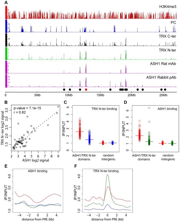 https://cdn.ncbi.nlm.nih.gov/pmc/blobs/5be8/2799325/788ee6dc27c6/pgen.1000805.g002.jpg