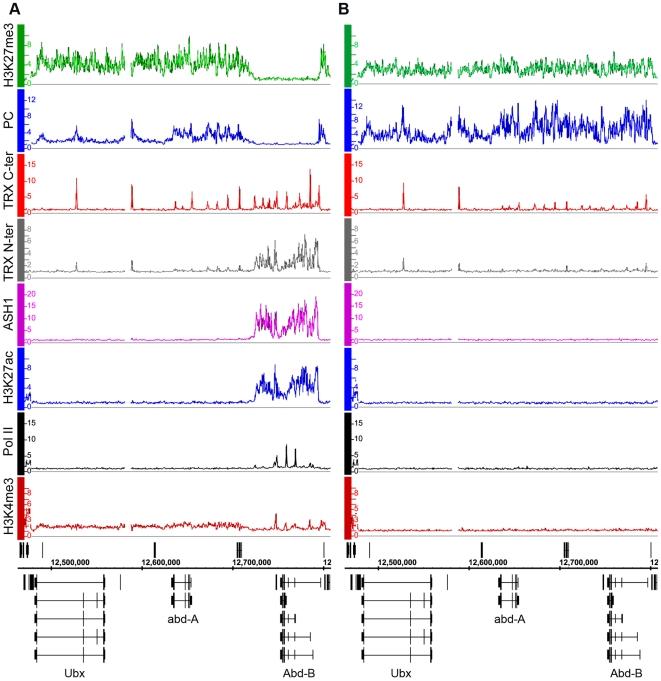 https://cdn.ncbi.nlm.nih.gov/pmc/blobs/5be8/2799325/fd150fde8562/pgen.1000805.g001.jpg
