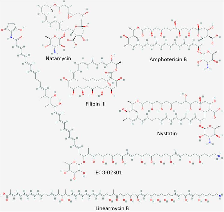 https://cdn.ncbi.nlm.nih.gov/pmc/blobs/5be9/7472640/24d3d22e8d79/fmicb-11-02022-g001.jpg