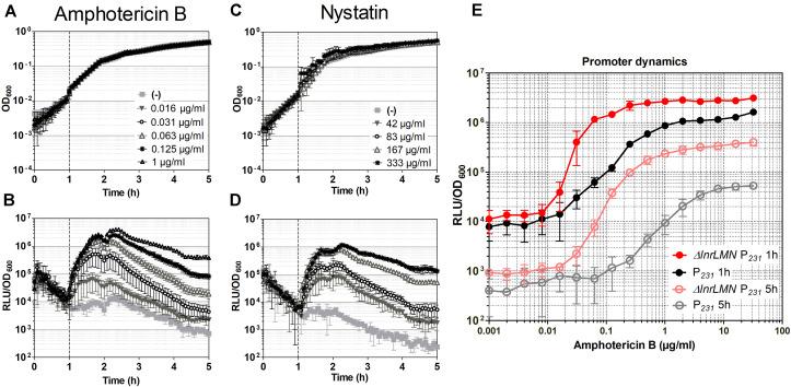 https://cdn.ncbi.nlm.nih.gov/pmc/blobs/5be9/7472640/af0fbaf5155b/fmicb-11-02022-g005.jpg
