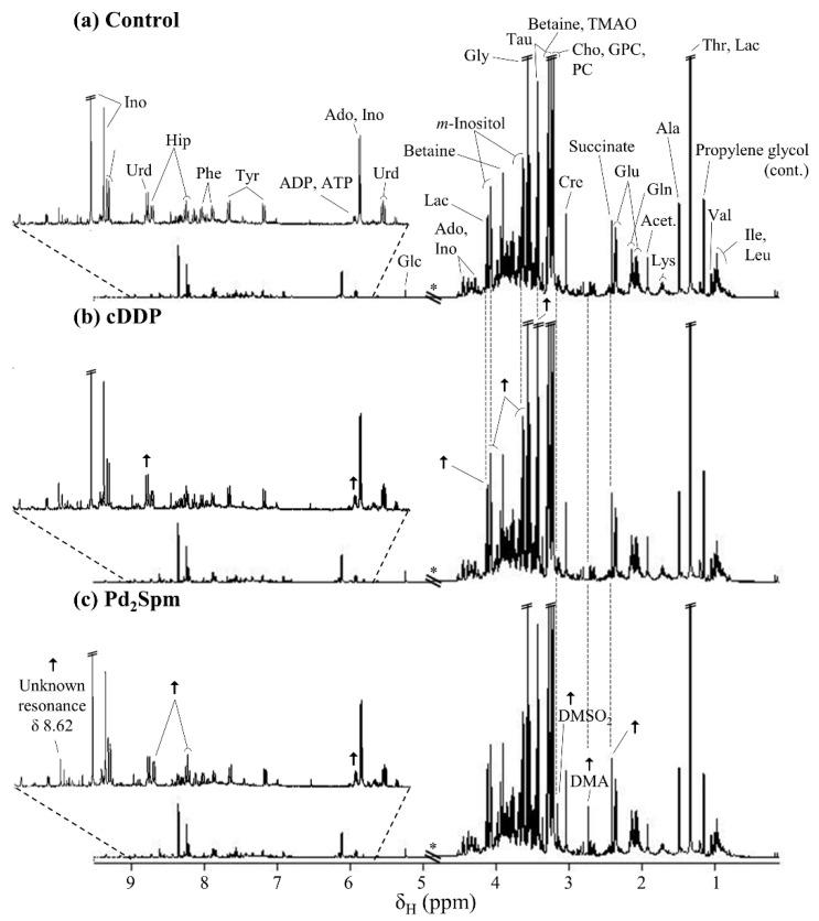 https://cdn.ncbi.nlm.nih.gov/pmc/blobs/5be9/7922283/1a56a2c4cd46/metabolites-11-00114-g001.jpg